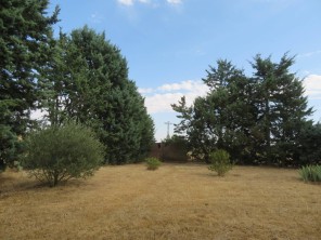 Jardín
